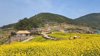 대한민국 섬마을 Korean mountain village