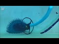 zodiac baracuda g3 w03000 automatic pool cleaner review 2020