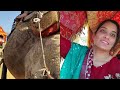 how to go to pushkar from ajmer desert safari ajmer desertsafari thardesert pushkar rajasthan