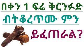 በቀን 1 ፍሬ ቅርንፉድ ብትቆረጥሙ ምን ይፈጠራል? የቅርንፉድ ጥቅምና ጉዳት| What happens if you chew 1 cloves daily