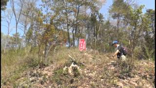 2015 5 2桜ウォークin南会津後半