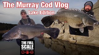 The Murray Cod Vlog | Lake Edition | The Full Scale