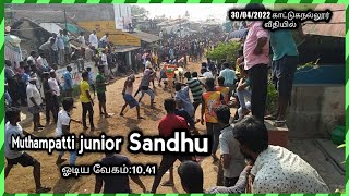 முத்தம்பட்டி சந்து -Sec10.41 | காட்டுகநல்லூர் வீதி 2022 | Padavedu Jallikattu