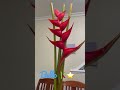 heliconia wagnerian hawaiian tropical hermosa flor tropical 🌴