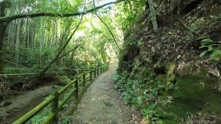 walk in Japan, Kagoshima, Jigenji Park