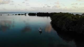 A pelican's eye view at Tarpon Caye Lodge