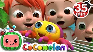 Itsy Bitsy Spider More Nursery Rhymes Kids Songs CoComelon