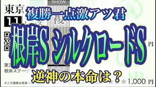 【逆神】【カッタラキマセン】複勝一点激アツ君【根岸ステークス2023】【シルクロードステークス2023】【競馬予想】 #1779