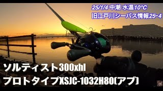 ソルティスト300と25スコーピオンMD300の違いについて【ソルティスト300とアブプロトタイプXSJC-1032使用】旧江戸川シーバス/1月4日【中潮  水温10℃/釣り場状況25-4】