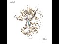 Molecular dynamics simulation of the mutant GluN1-FHRK agonist binding domain with bound L-689,560