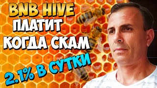 BNB HIVE ПРОЕКТ ПЛАТИТ КОГДА СКАМ КАКОЕ РАЗВИТЕЕ КАК ЗАРАБОТАТЬ ЗАРАБОТОК 2.1% В СУТКИ