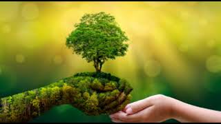 Save Tree 🌴|Presentation|PowerPoint|