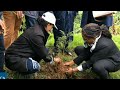 Ethiopia plants 350 million trees in a day, smashing records