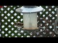 american tree sparrows on the platform feeder in the snow brown garden birds