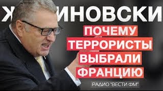 Жириновский  ПОЧЕМУ Франция И ТЕРАКТЫ