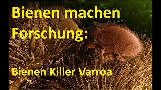 Faszination Bienen Forschung: Bionik Varroa Bekämpfung Intro