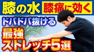 膝の水を完全に抜くストレッチ5選【膝の痛みにも有効】