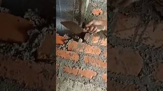 Birek Wall #tips #👌👌👌✅️💯shorts feed #viral vedi0#r..a..contractor @#shortvideos #