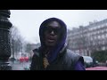 lion p working clip officiel