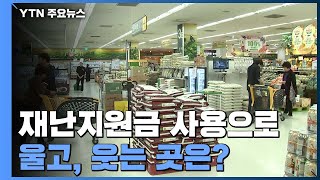 재난지원금 사용으로 대형마트 '울상'...편의점 '웃음' / YTN