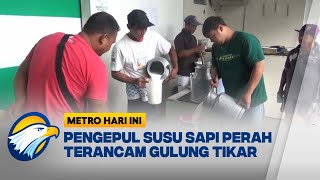 Pengepul Susu Sapi Perah Terancam Gulung Tikar - [Primetime News]