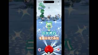 （ポケモンGO）この後ニャオハにボコられた猫ミーム#ポケモンgo #pokmongo #shorts