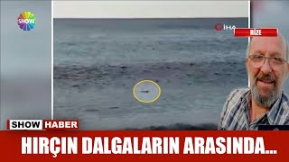 Hırçın dalgaların arasında...