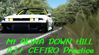 Assetto Corsa  秋名下り  time attack 練習 5分23秒003