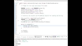 Reading Text Input (Java)