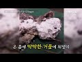 거품 뒤덮여 매달린 채…쓰레기통서 발견된 새끼 고양이 연합뉴스 yonhapnews