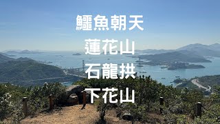 登鱷魚朝天、蓮花山、石龍拱、下花山 2023 12 07