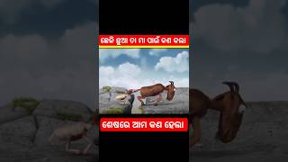 ଛେଳି ଛୁଆ ତା ମା ପାଇଁ କଣ କଲା#facts#kahani#cartoon#odiagapa#gapa#odiagapa#story#stories#shorts#viral#yt