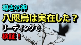 【日本古代史の謎】神武天皇の東征を導いた伝説の烏は実在したのか？