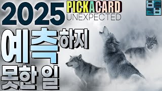 바보타로-2025년 예측하지 못한 일(UNEXPECTED)- PICK A CARD(370)#타로