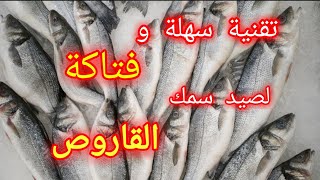 أفضل طريقة لصيد الدرعي . أسرار صيد القاروص .