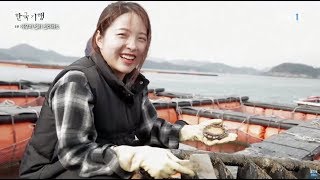 한국기행 - Korea travel_도시락 기행 3부- 아무리 멀리 있더라도_#002