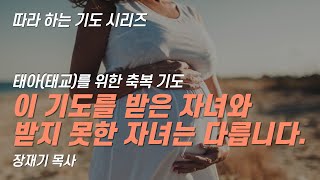 (따라하는 기도시리즈) 218 태아(태교)를 위한 축복기도 / 장재기 목사