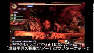 【MH4G】 散歩00 訂正編 「身を焦がす思い…」