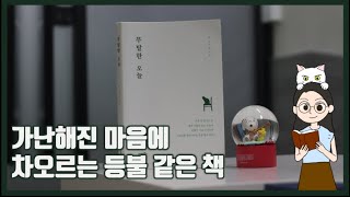 [무탈한 오늘] 북튜버 해나가 너무나 사랑하는 에세이 추천