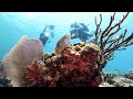 Coral Health Chemistry: Give reefs a chance