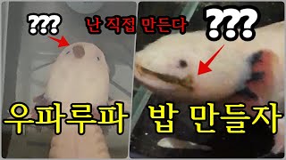 우파루파 밥 만들기 (make food for axolotl)