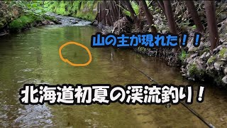 【主現る！？】初夏の北海道といえば！渓流釣り！！