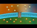 mechanism of action of digoxin