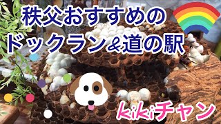 埼玉県秩父市おすすめのスパドッグズラン＆道の駅でのおすすめ