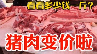 猪肉变价太吓人，看6月23日集市上卖多少钱一斤？大吃一惊~带你们看每天中国菜市场物价【茉茉妈vlog】