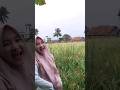 Aktivitas neng Melda di sawah ngusir burung  #short #shorts