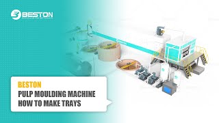 How Does Paper Pulp Moulding Machine Work?