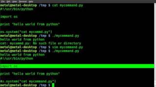 Python Basics - calling system commands (A cheat for BASH users)