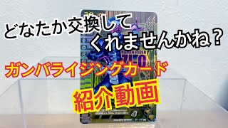 【ガンバライジングカード集めていながら、プレイした事が無かった男】感動の300円でした！