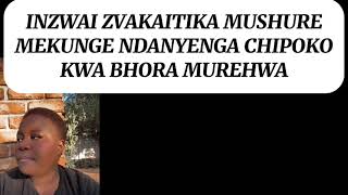 INZWAI ZVIRIKUITIKA MUSHURE MEKUNGE NDANYENGA CHIPOKO KWA BHORA MUREHWA